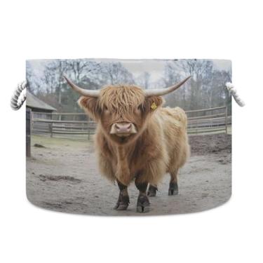 Imagem de JUZIHAI Cesta de armazenamento dobrável Country Highland Cow cesto de roupa suja para bebês com alças de corda de algodão, caixa organizadora de armário dobrável para quarto, berçário, casa, 50 x 35