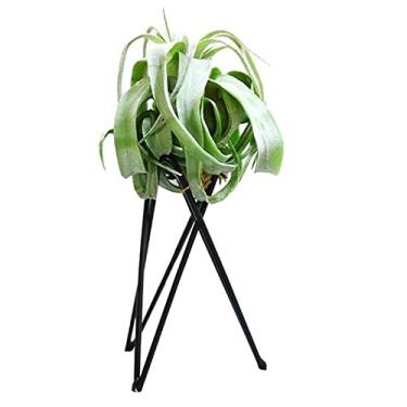 Imagem de Yajun Suporte de planta de ar de ferro de escritório suporte de vaso de flores interno ornamento de jardim para casa mini moderno prateleira de exibição de samambaia de ar de mesa 5 peças, preto, 10 * 6 cm