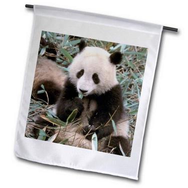 Imagem de 3dRose fl_70220_1 Bandeira de jardim da China, Chengdu, Santuário do Panda, Urso Panda, As07 Cmi0105, 30,48 x 45,72 cm