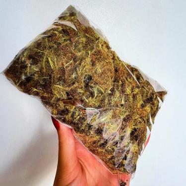 Imagem de Musgo Verde Desidratado Natural  Ideal para Orquídeas, Arranjos e Deco