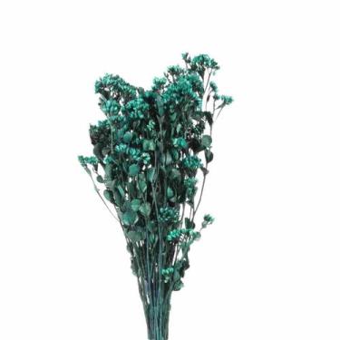 Imagem de Chuvisco Verde Flor Desidratada Buque Flores Secas - Pense Flores