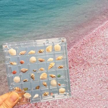 Imagem de Caixa de exibição de conchas de acrílico 36 grades caixa de armazenamento Neil caixa de armazenamento de joias material grosso e durável caixa de exibição de concha transparente ímãs de geladeira