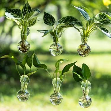 Imagem de DNIENKGE 6 estações de propagação de janela, vaso de propagação com ganchos de ventosa, fácil de instalar, vasos de terrário de vidro para propagação de plantas aquáticas e estacas de enraizamento (6)