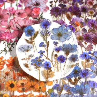 Imagem de 50 adesivos florais para álbuns, PET transparente com acentos, decalques de flores vibrantes, tipos de pétalas de cores sortidas, adesivos de scrapbook, acessórios de diário (azul)