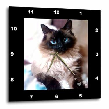 Imagem de Relógio de parede com foto 3D Rose Cute Chocolate siamese Cat-Closeup, lindos olhos azuis, 25,4 x 25,4 cm