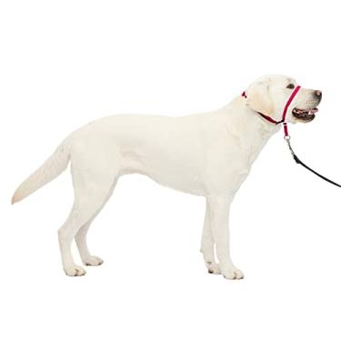 Imagem de PetSafe Coleira de cabeça para cães Gentle Leader - A melhor solução para puxar - Redireciona a puxada do seu cão para caminhadas mais fáceis - Ajuda você a recuperar o controle - Grande, rosa