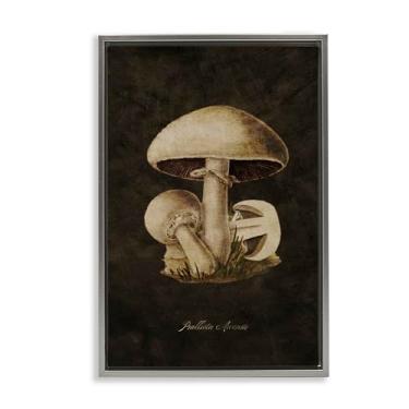 Imagem de Stupell Industries Arte de parede em tela flutuante de estudo de cogumelo Portobello por Tina Higgins Designs, Inc., Moldura flutuante cinza, 53 x 78 cm