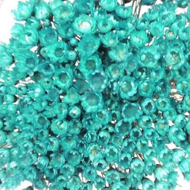 Imagem de 1KG - Flores Sempre Vivas Natural e Desidratado - VIVA FLOR