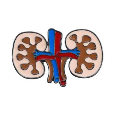 Imagem de Broche Esmaltado de Anatomia Renal - Joia Médica para Médicos e Enferm