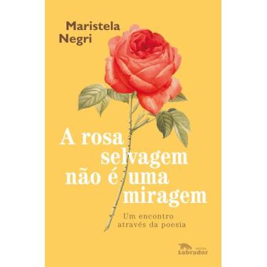 Imagem de Livro - A rosa selvagem não é uma miragem