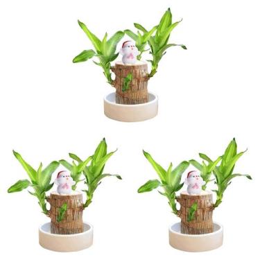 Imagem de Toco de planta em vaso Hydroponic Brazilian Wood Mini (3, branco) - Ma