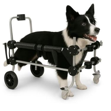 Imagem de Cadeira de 4 Rodas Para Cachorro Tam G Regulável Traseira e Dianteira Tetraplegia Reabilitação Paralisia Idoso Pet Best Soluções