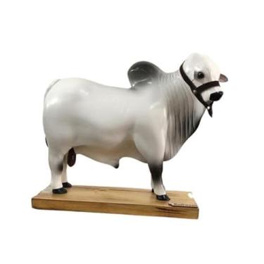 Imagem de Boi Barril de Cachaça Artesanal - Nelore Mocho