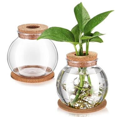 Imagem de Baderke 2 pacotes de vasos de propagação para plantas, estação de propagação de plantas de plástico com tampa de furo e porta-copos de cortiça que crescem em água hidropônica decoração de mesa de