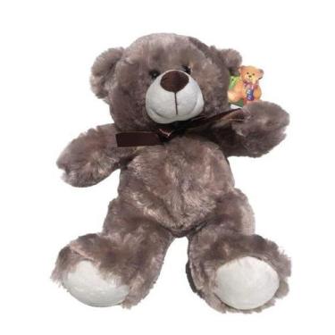 Imagem de Urso De Pelúcia Fofo 42cm - Fizzy Toys