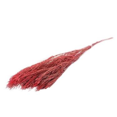 Imagem de Aspargo Vassora Vermelho Desidratado - Tem Flores