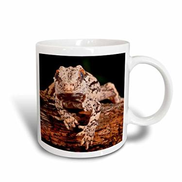 Imagem de 3dRose Caneca gárgula lagarto nativo à nova caledônia, 325 ml, preto/branco