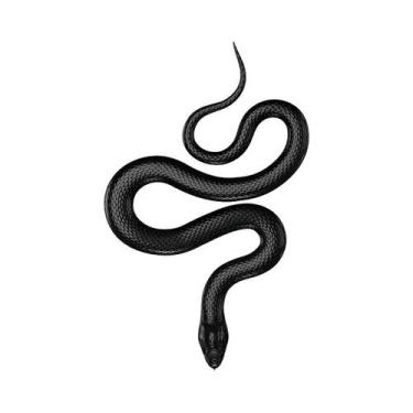 Imagem de Pôster De Perfume Coco Preto E Branco Arte De Parede Minimalista De Lu