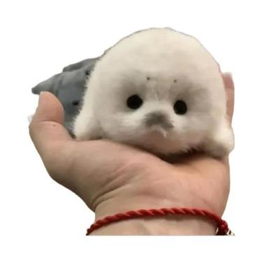 Imagem de Boneco De Pelúcia De Foca Bebê Feito À Mão De 10cm, Brinquedo De Simul