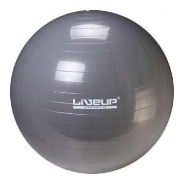 Imagem de Bola Suíça 65cm Liveup - Cinza - Live Up