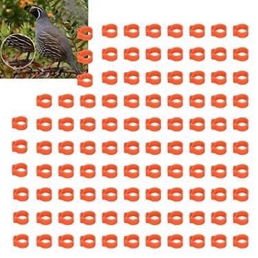 Imagem de Perna de aves, anéis de perna leves compactos, duráveis e reutilizáveis para identificação e marcação de pombos para a maioria das pessoas (laranja)