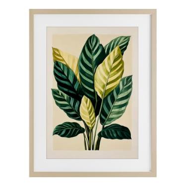 Imagem de Stupell Industries Impressão emoldurada de bétula de folhas tropicais ramos verdes sob vidro, design por Petal Prints Design, 23 x 17