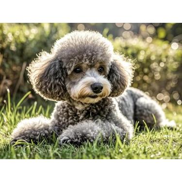 Imagem de UPABLUNSO Poodle cinza arte diamante pastagem 5D pintura diamante kits DIY completo redondo contas strass por número Stitch artes e artesanato feito à mão para sala de estar, quarto, decoração de