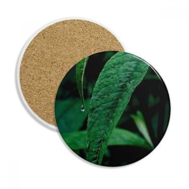 Imagem de Caneca de porta-copos para fotografia natural de plantas de folhas, pedra absorvente de proteção de mesa