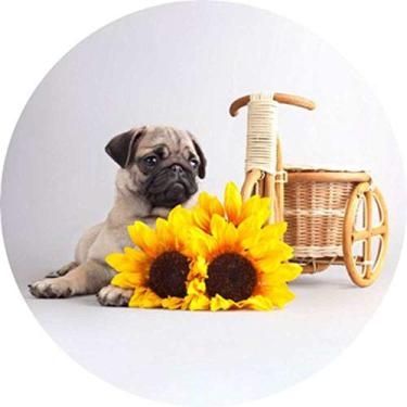 Imagem de Capa para Estepe Ecosport Crossfox Pug CN1003 - Lorben