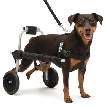 Imagem de Cadeira de 2 Rodas Para Cachorro Tam Micro Ajustável Pata Traseira Paraplegia Reabilitação Paralisia Idoso Pet Best Soluções