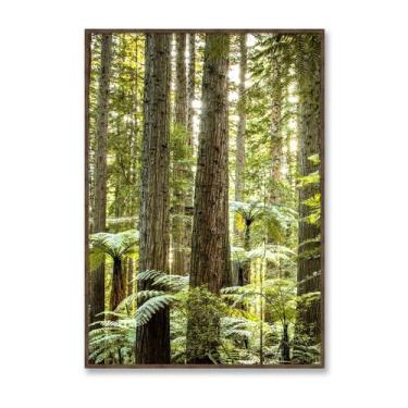 Imagem de Quadro Decorativo com Moldura e Vidro Floresta 72x102cm - Decorary, Fl