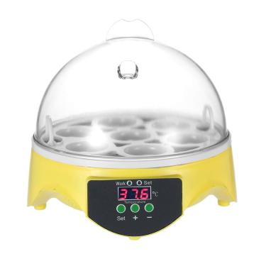 Imagem de Staright Mini incubadora digital de ovos com 7 ovos incubadora de ovos transparentes, incubadora de ovos, controle automático de temperatura para frango, pato, pássaro, ovos AC110V