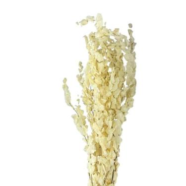 Imagem de Buque de Eucalipto Alvejado Decoração Arranjos - FLORA FULL