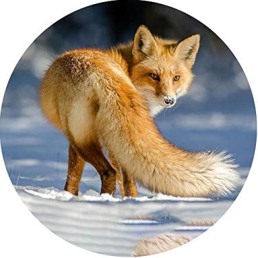 Imagem de Capa para Estepe Pneu Especial Crossfox Fox Raposa 9 CN882 - Lorben