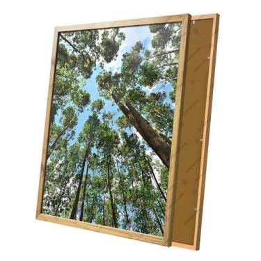 Imagem de Quadro Galhos e Arvores Grande Céu Paisagem Moldura e Vidro - Complet 