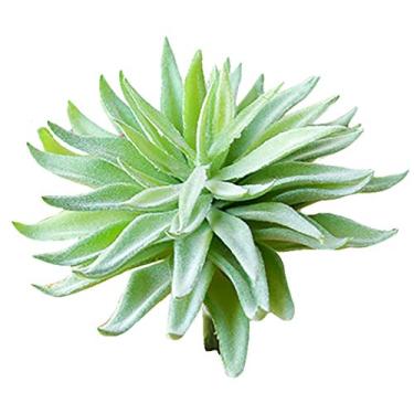 Imagem de Suculentas Artificiais, JUSTDOLIFE Suculentas Artificiais, faça-você-mesmo, mini plantas suculentas artificiais para decoração de casa de casamento
