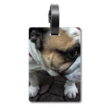 Imagem de Bulldog Pet Fotografia de animais para animais de estimação, bolsa de mala, etiqueta de bagagem, etiqueta para guardar cartão