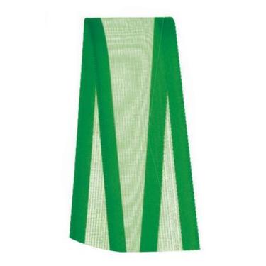 Imagem de Fita Voal com Cetim Progresso 22mm nº5 - 10m Cor 217 Verde Bandeira - 