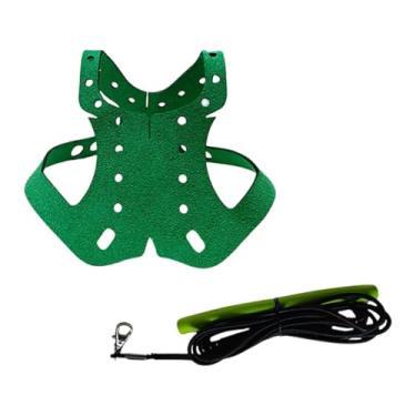 Imagem de Baoblaze Coleira e guia para treinamento de pombos, leve, para pombos de estimação, corda de tração para voo ao ar livre, Verde