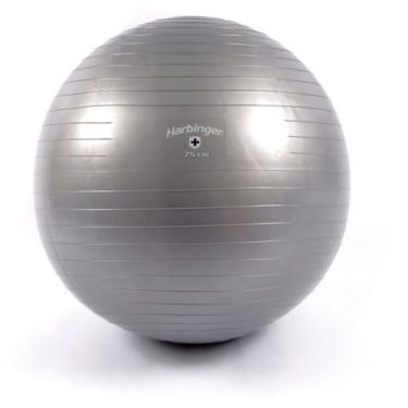 Imagem de Harbinger Bola de treinamento cinza (75 cm, alturas de 6'5.1 cm- 6'17.8 cm)