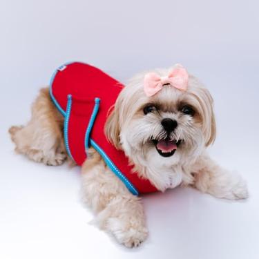 Imagem de Colete Refrescante para Cachorro, Roupa Térmica para Pets que Ajuda a Reduzir o Calor, Ideal para Verão e Dias Quentes, Luna (COOLING VEST) - Vermelho (P)