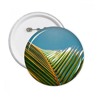 Imagem de Folha Planta Natureza Céu Azul Fotografia Alfinetes Redondos Emblema Botão Decoração Acessório 5pcs