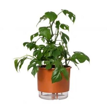 Imagem de Vaso Autoirrigável Grande N04 21cm x 19cm - Terrazzo Terracota