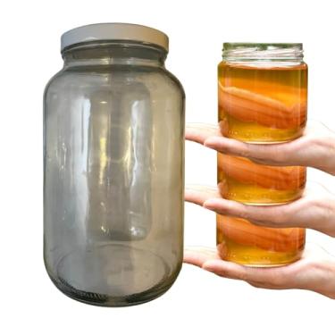 Imagem de Scoby Kombucha Original Compre 2 Ganhe 1 + Vidro 3 Litros