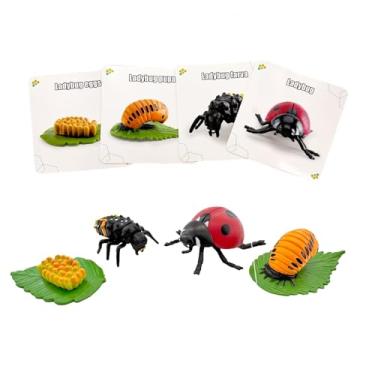 Imagem de Montessori Life Cycle Animal Figures with Flash Cards, Lifelike Animal Growth Cycle Biological Model Set (Ladybug)