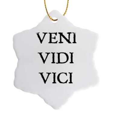 Imagem de 3dRose Enfeite de floco de neve Veni Vidi Vici I Came I Saw I Conquered in Bold Print, 7,6 cm