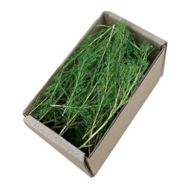 Imagem de Generic Paisagismo de grama em miniatura realista, modelo de tufo espesso, jardim de fadas, terreno para trens ferroviários, dioramas, jardim de fadas, Verão Verde