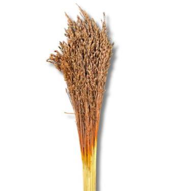 Imagem de Buquê Flor De Vassoura Cores Natural Arranjo Decoração Festa - Inspira