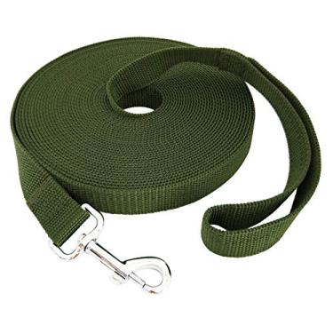 Imagem de TAIDA 20 pés 30 pés 40 pés 127 m Nylon Longo Treinamento Cachorro Coleira para Cães Pequenos Médio Grande, Longa Correia Cão/Puppy Chumbo para Obediência Treinamento de Lembrança, Acampamento ou Quintal, 1 polegada de larguraTaida 40 FOOT verde