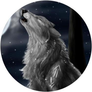 Imagem de Capa De Estepe Ecosport Aircross Lobo Noite